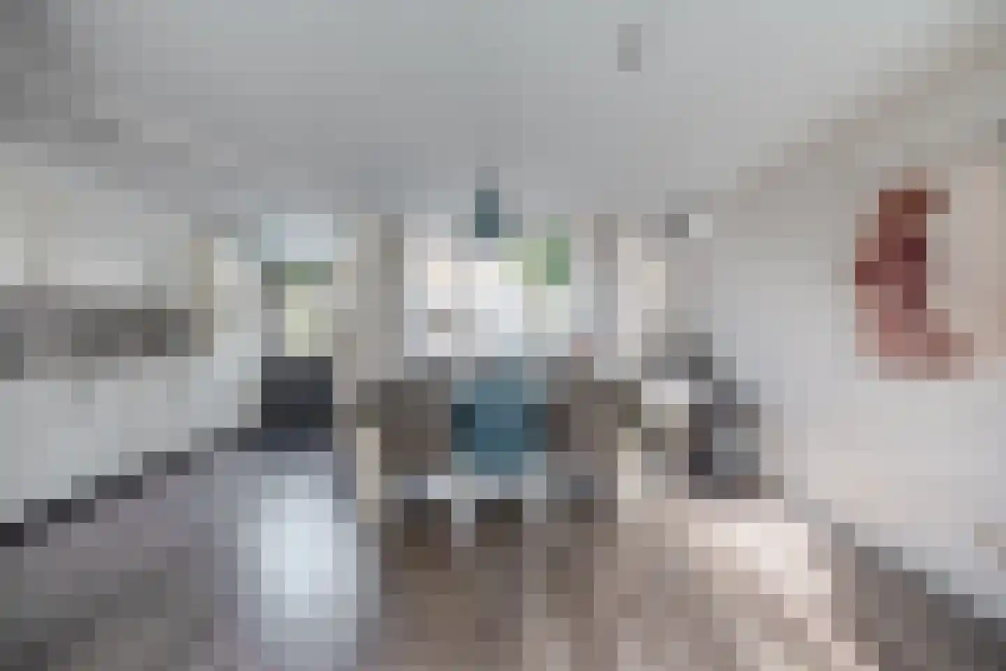 van Maerlantstraat 28 Waddinxveen thumbnail 8