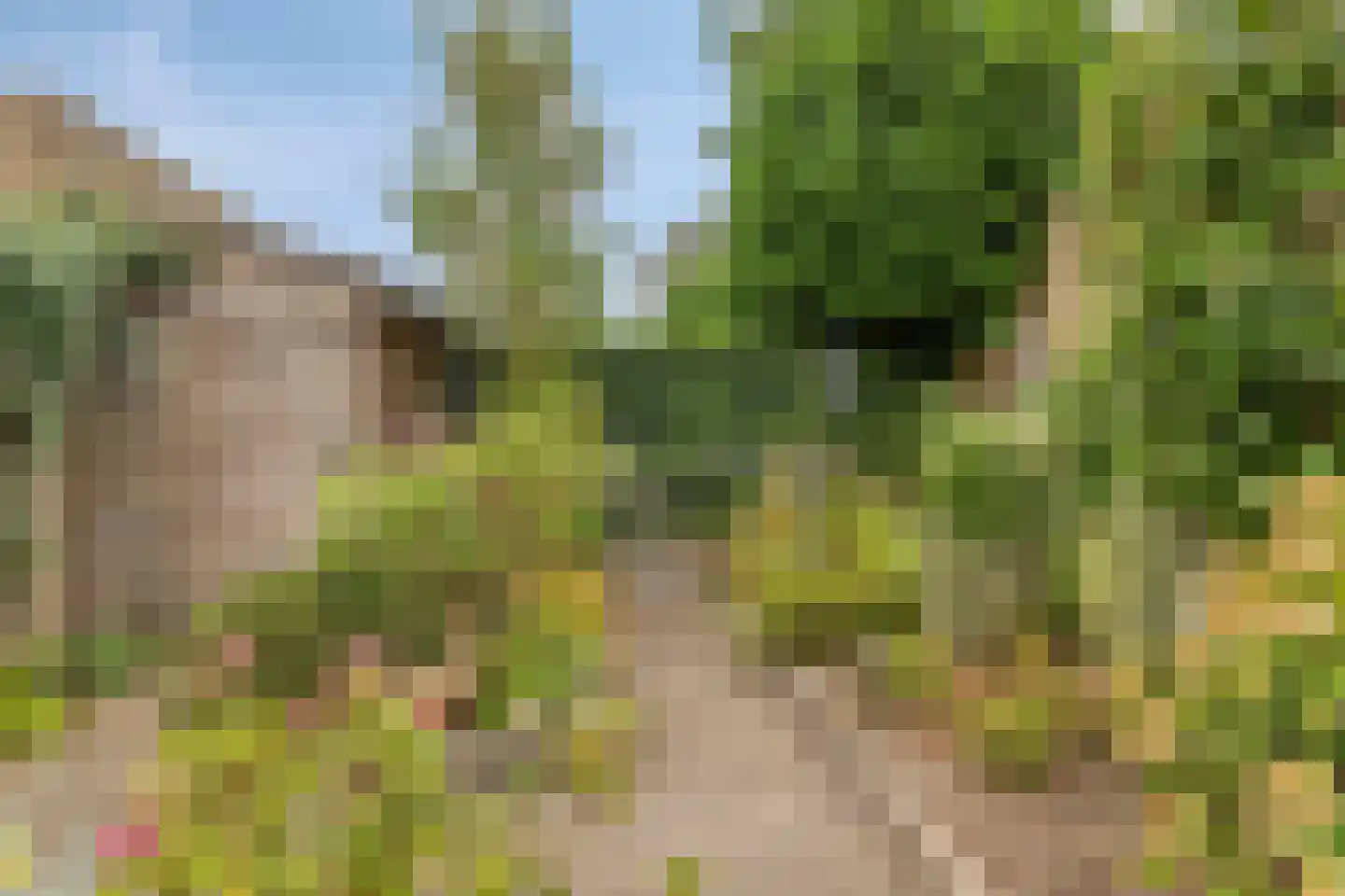 Van Maerlantstraat 4 Nuenen thumbnail 30