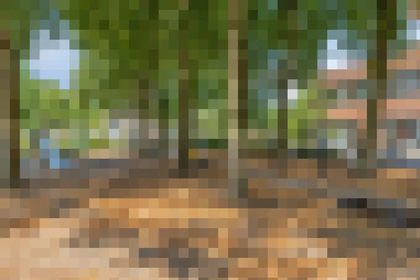 Van Maerlantstraat 4 Nuenen thumbnail 34