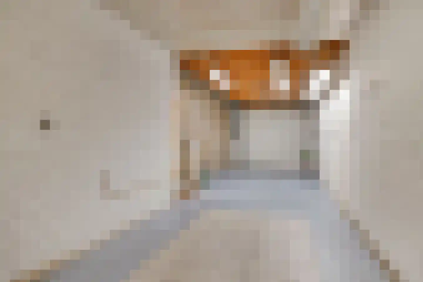 Van Maerlantstraat 4 Nuenen thumbnail 4
