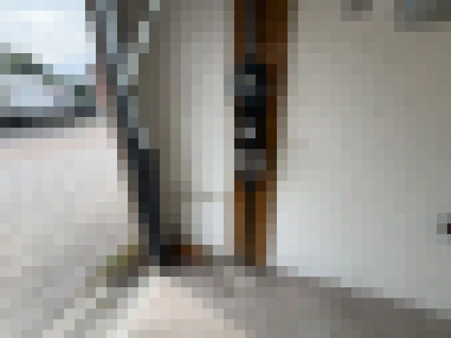 van Maerlantstraat 6 Waddinxveen thumbnail 6