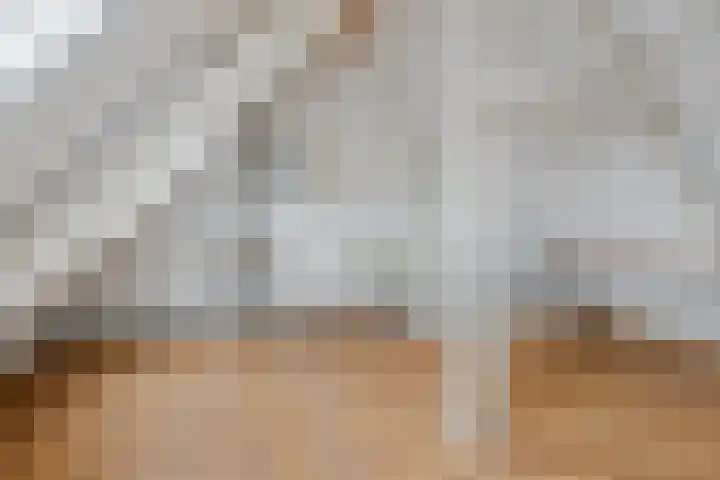 Van Maerlantstraat 8 Tilburg thumbnail 32