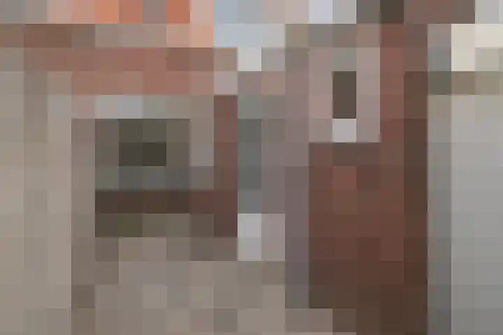 Van Maerlantstraat 8 Tilburg thumbnail 35
