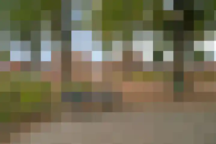 Van Maerlantstraat 8 Tilburg thumbnail 43