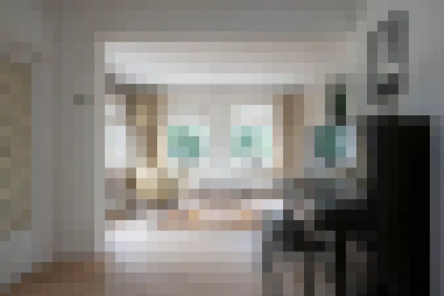 Van Malsenstraat 11 Goirle thumbnail 17