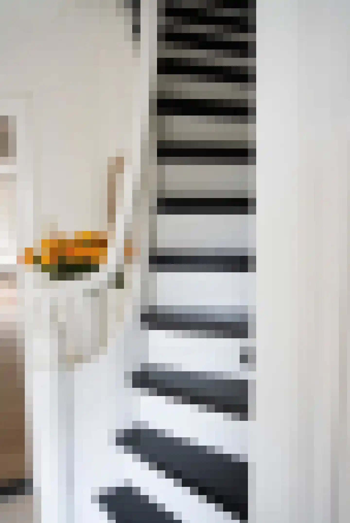 Van Malsenstraat 11 Goirle thumbnail 31