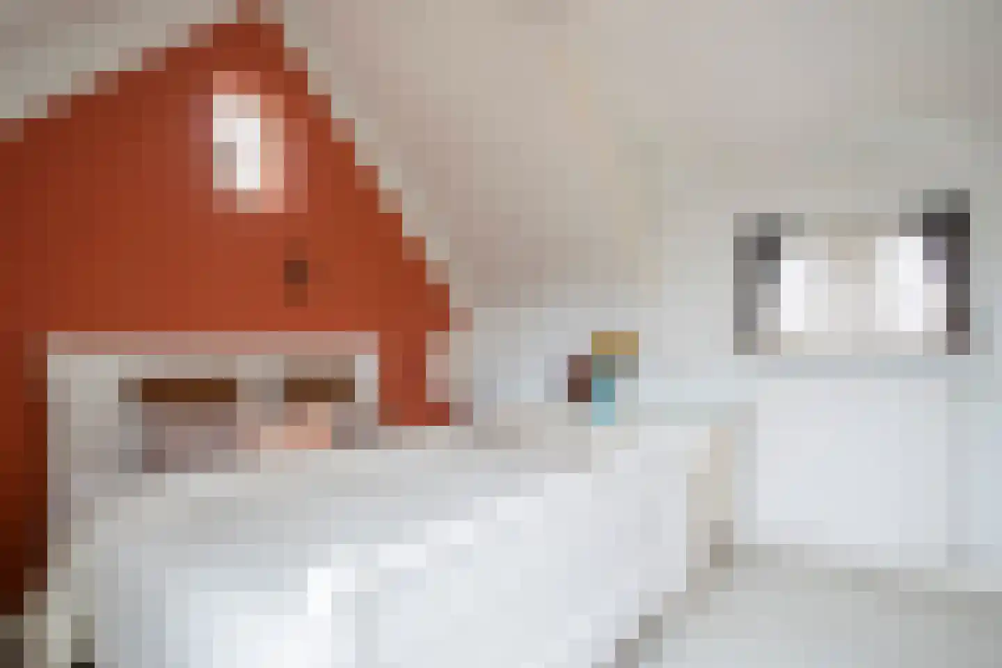 Van Malsenstraat 11 Goirle thumbnail 33