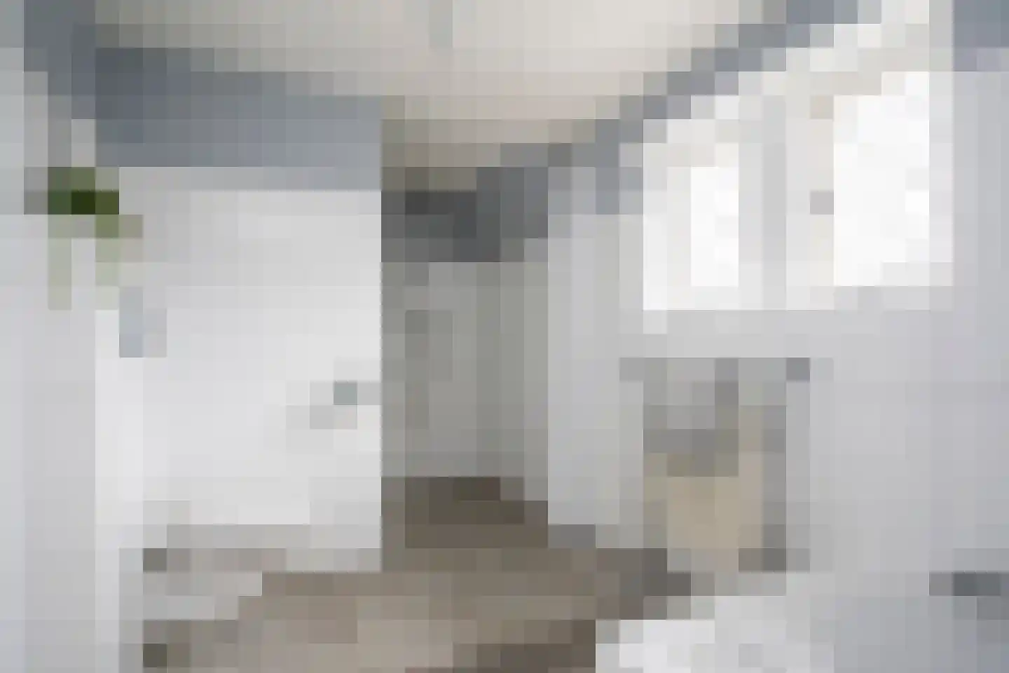 Van Malsenstraat 11 Goirle thumbnail 40
