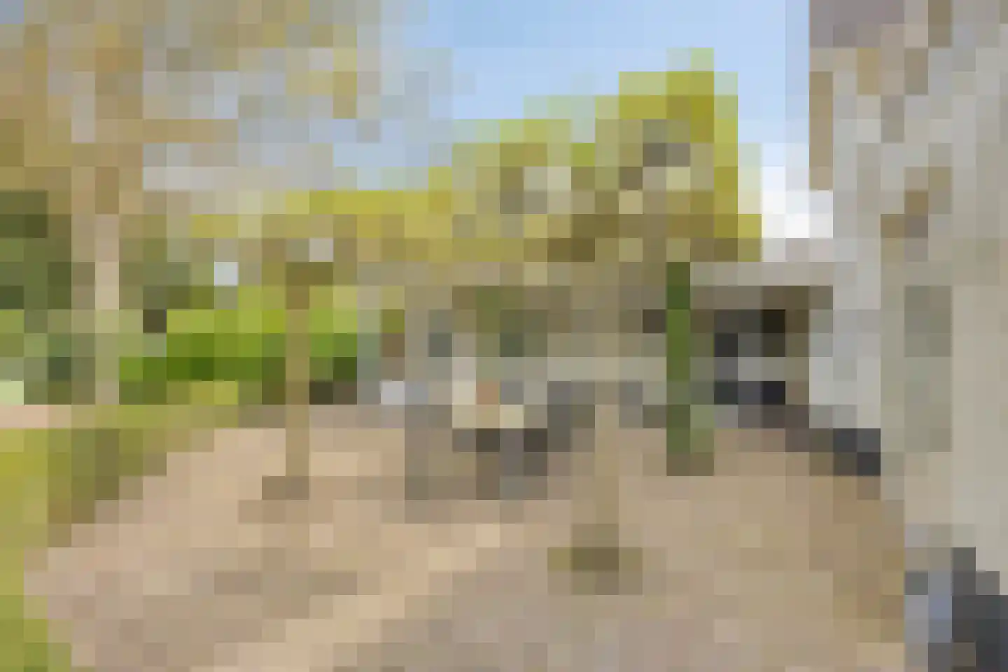 Van Malsenstraat 11 Goirle thumbnail 44