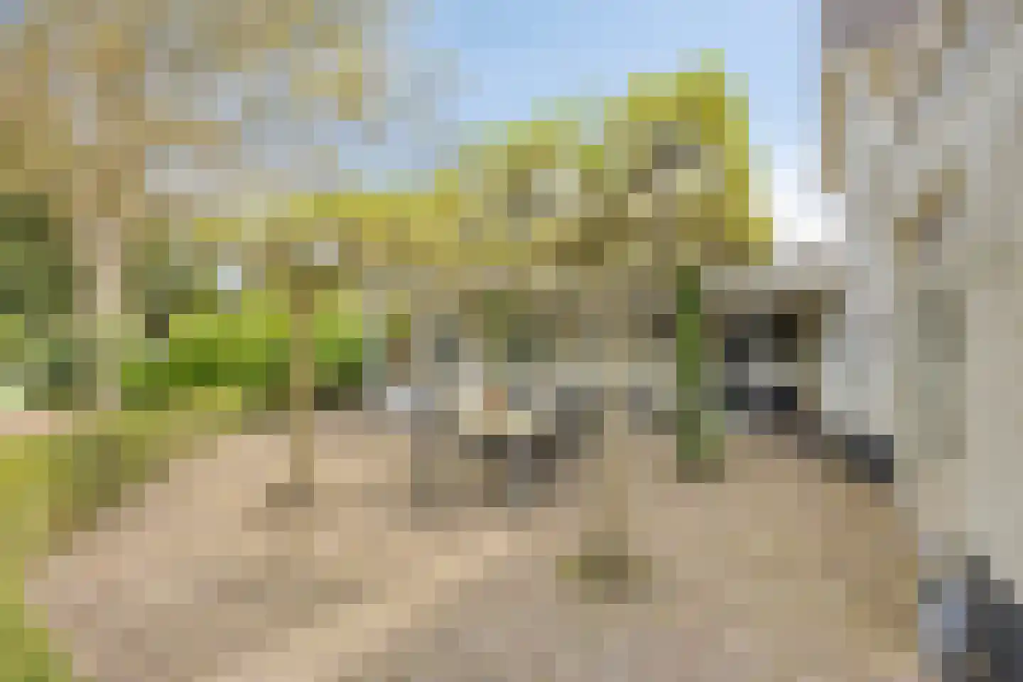 Van Malsenstraat 11 Goirle thumbnail 45