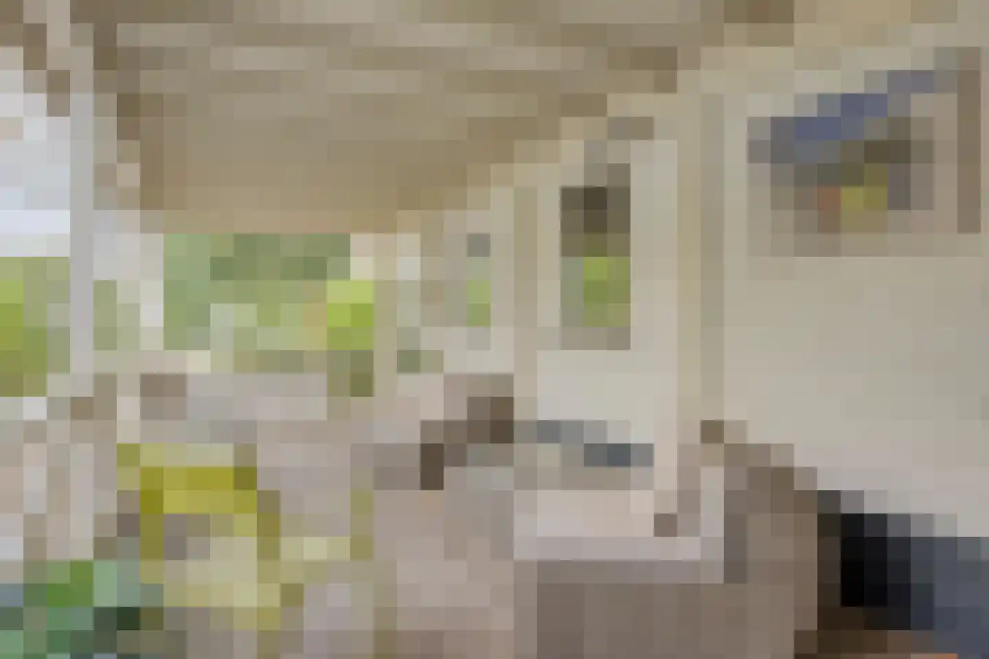 Van Malsenstraat 11 Goirle thumbnail 47