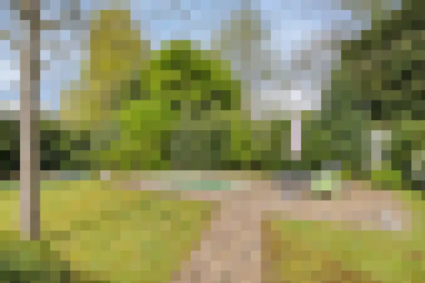 Van Malsenstraat 11 Goirle thumbnail 51