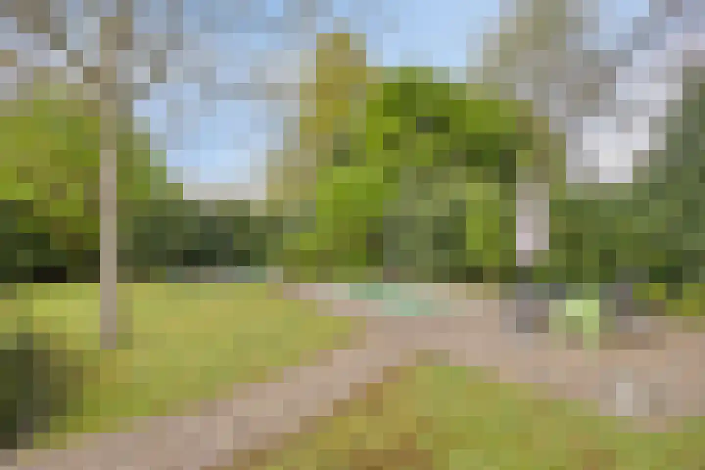 Van Malsenstraat 11 Goirle thumbnail 53