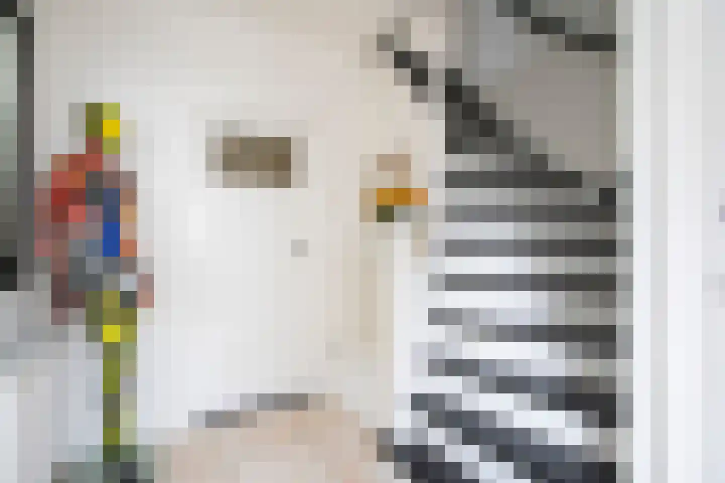 Van Malsenstraat 11 Goirle thumbnail 9