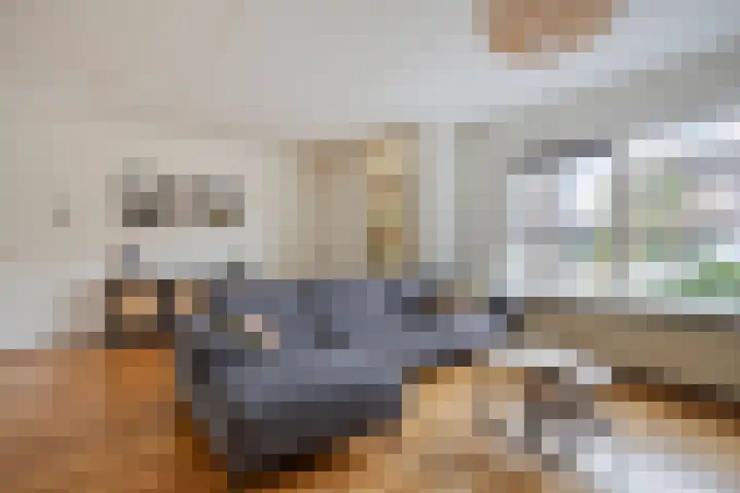 Van Malsenstraat 22 Well thumbnail 10