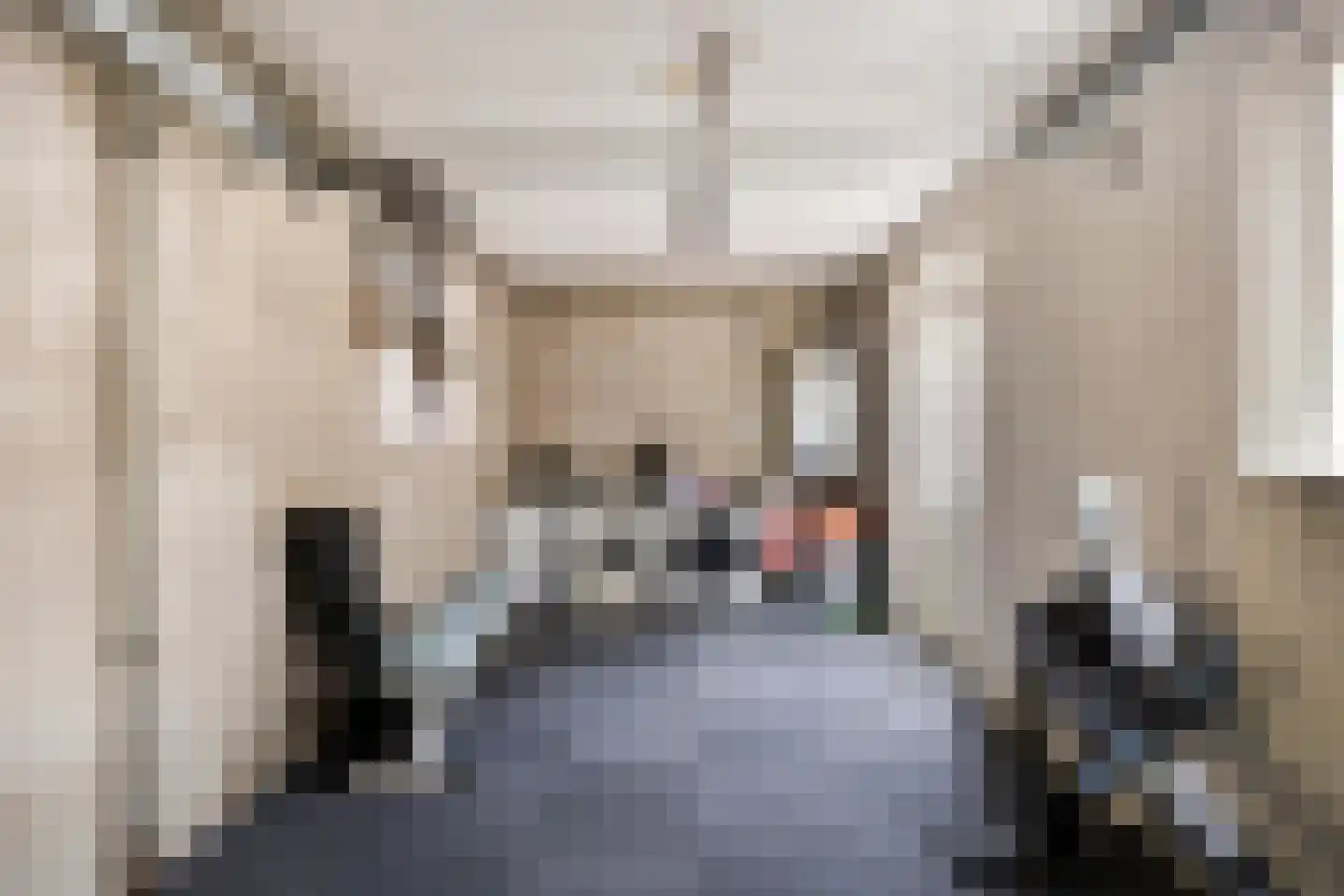 Van Malsenstraat 22 Well thumbnail 27