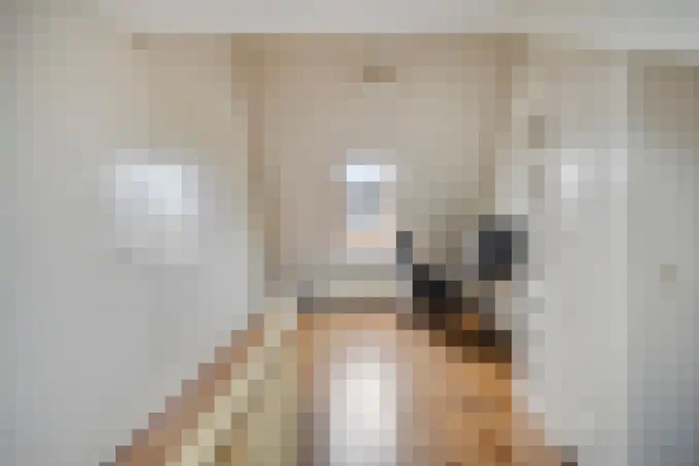 Van Malsenstraat 22 Well thumbnail 29