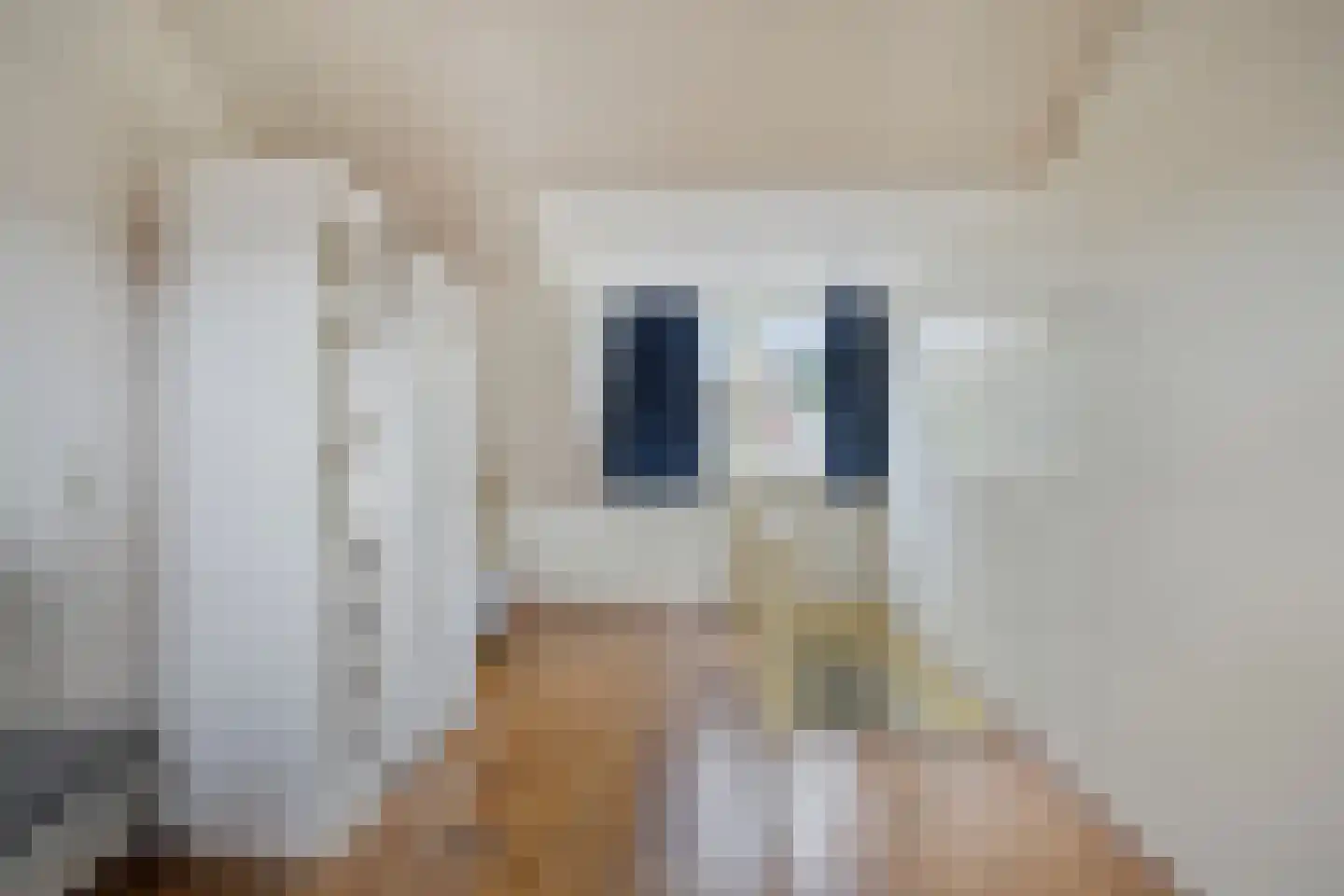 Van Malsenstraat 22 Well thumbnail 30