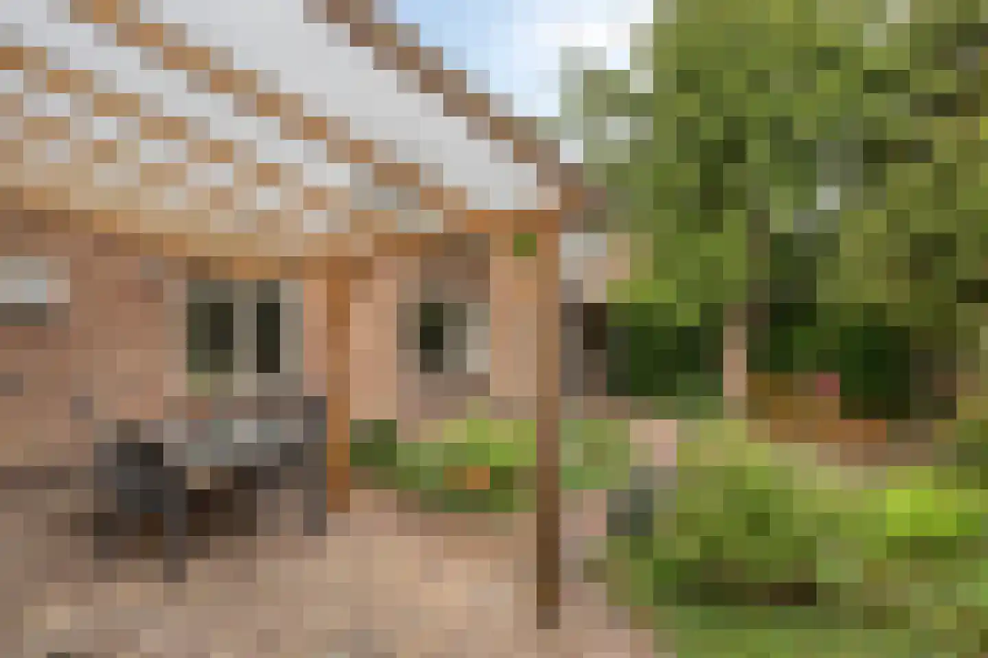 Van Malsenstraat 22 Well thumbnail 36