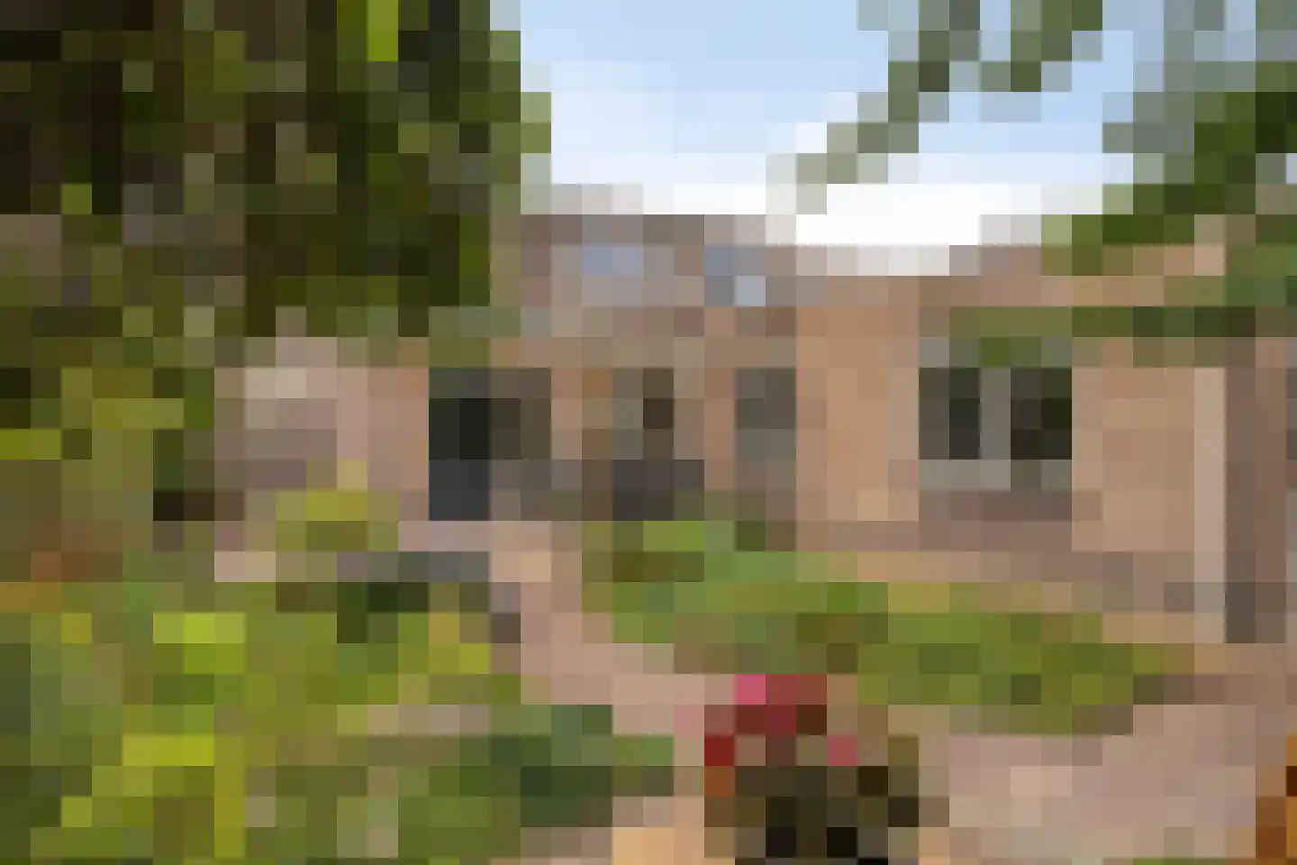 Van Malsenstraat 22 Well thumbnail 38