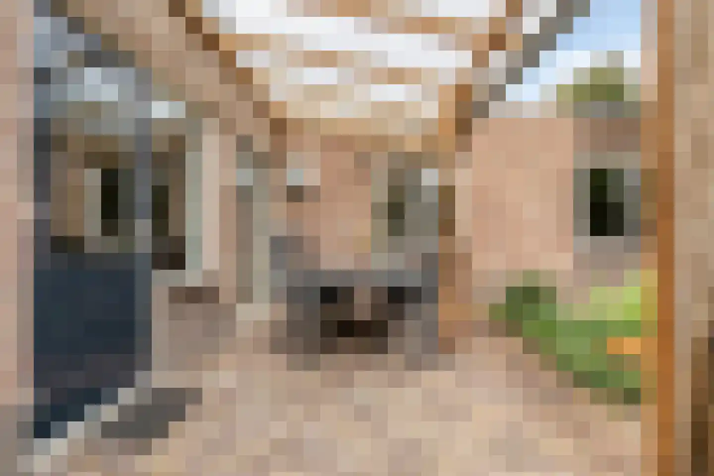 Van Malsenstraat 22 Well thumbnail 42