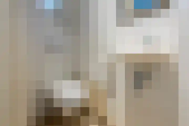 Van Malsenstraat 24 Goirle thumbnail 13
