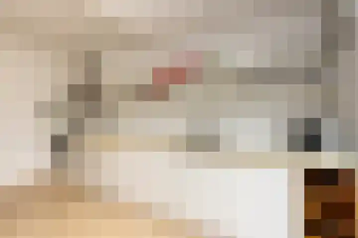 Van Malsenstraat 24 Goirle thumbnail 15