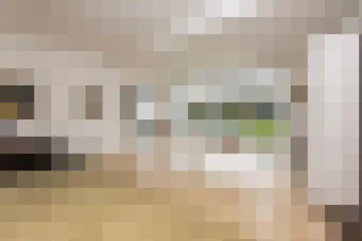 Van Malsenstraat 24 Goirle thumbnail 16