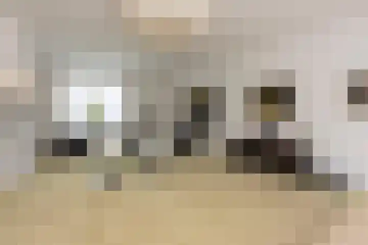 Van Malsenstraat 24 Goirle thumbnail 17