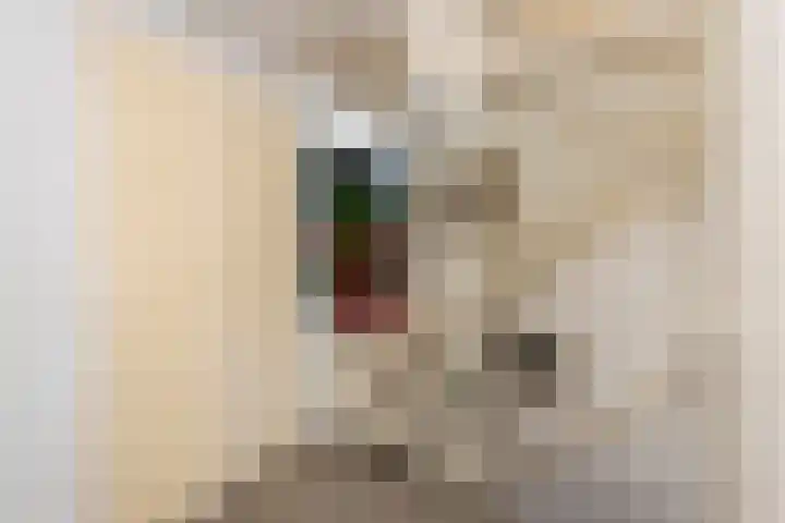 Van Malsenstraat 24 Goirle thumbnail 21