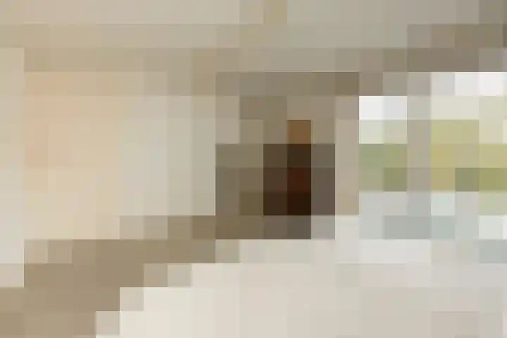 Van Malsenstraat 24 Goirle thumbnail 23