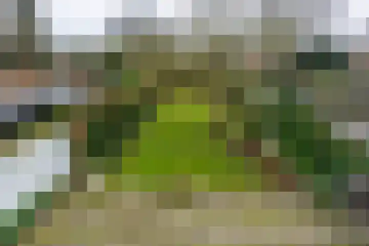Van Malsenstraat 24 Goirle thumbnail 26