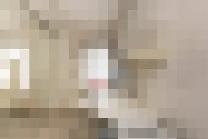 Van Malsenstraat 24 Goirle thumbnail 27