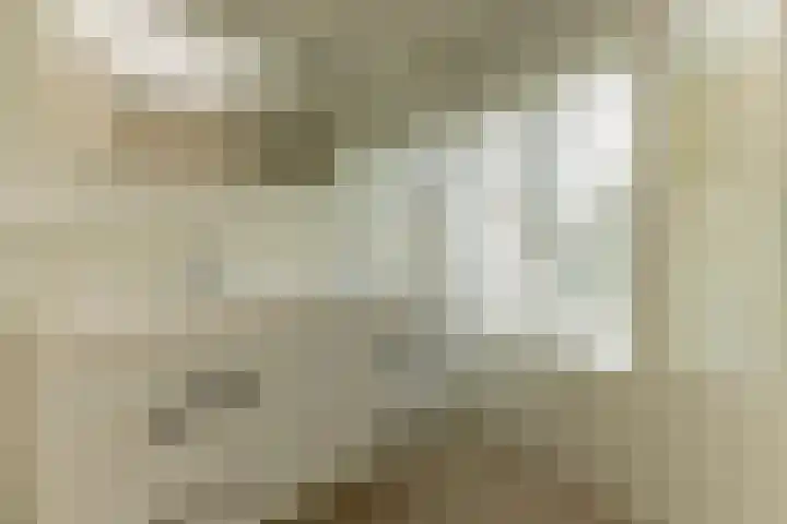 Van Malsenstraat 24 Goirle thumbnail 30