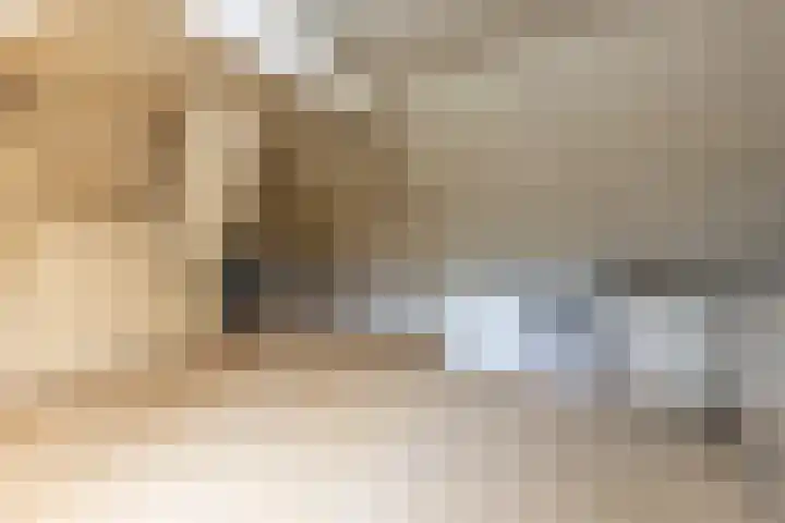 Van Malsenstraat 24 Goirle thumbnail 34