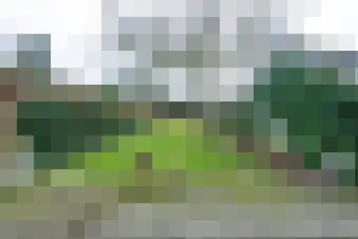 Van Malsenstraat 24 Goirle thumbnail 36