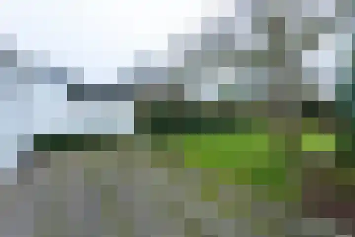Van Malsenstraat 24 Goirle thumbnail 37