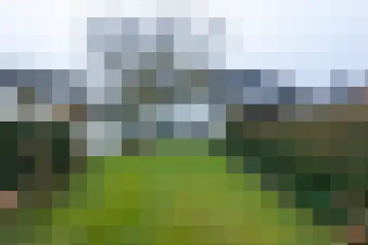 Van Malsenstraat 24 Goirle thumbnail 38