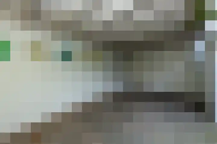 Van Malsenstraat 24 Goirle thumbnail 40