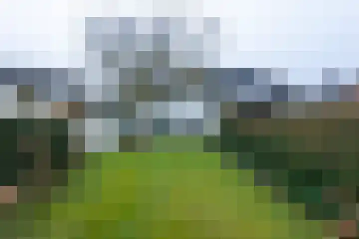 Van Malsenstraat 24 Goirle thumbnail 5