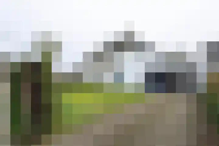 Van Malsenstraat 24 Goirle thumbnail 6