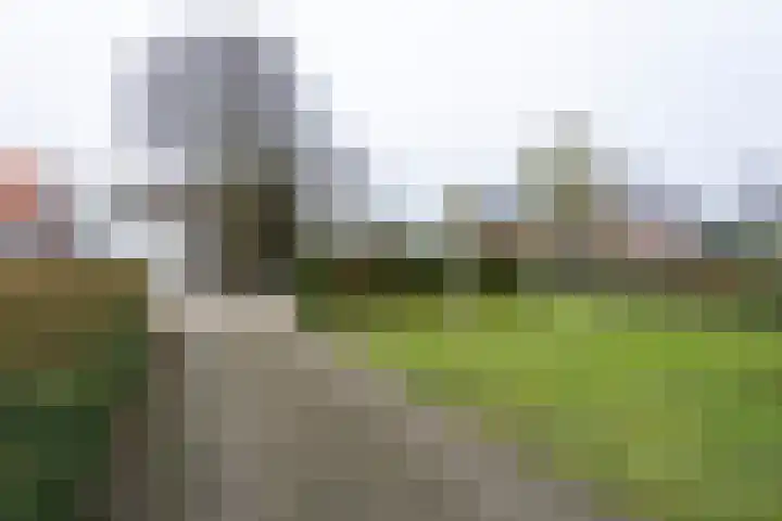 Van Malsenstraat 24 Goirle thumbnail 8