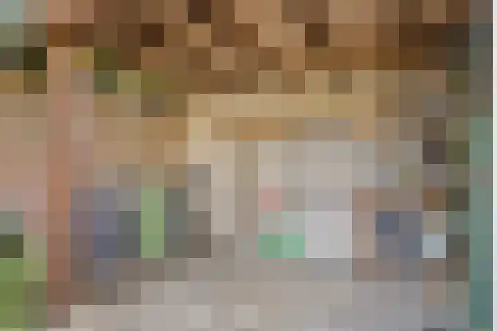 Van Malsenstraat 48 Goirle thumbnail 33