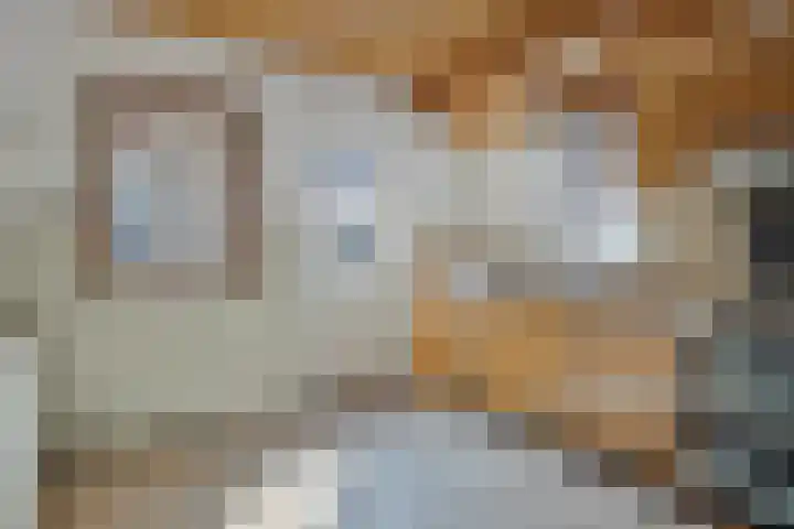Van Malsenstraat 48 Goirle thumbnail 5
