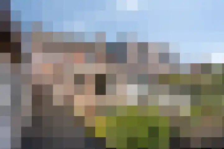Van Malsenstraat 48 Goirle thumbnail 8