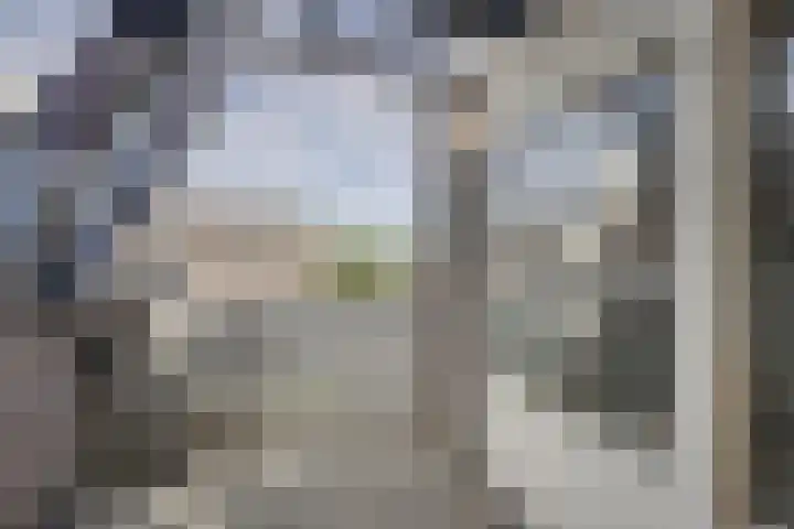 Van Mandersloostraat 73 Alphen aan den Rijn thumbnail 22