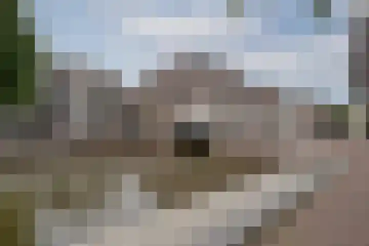 Van Mandersloostraat 73 Alphen aan den Rijn thumbnail 30