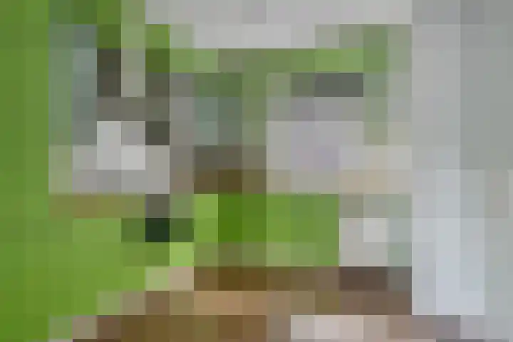 Van Mandersloostraat 73 Alphen aan den Rijn thumbnail 7