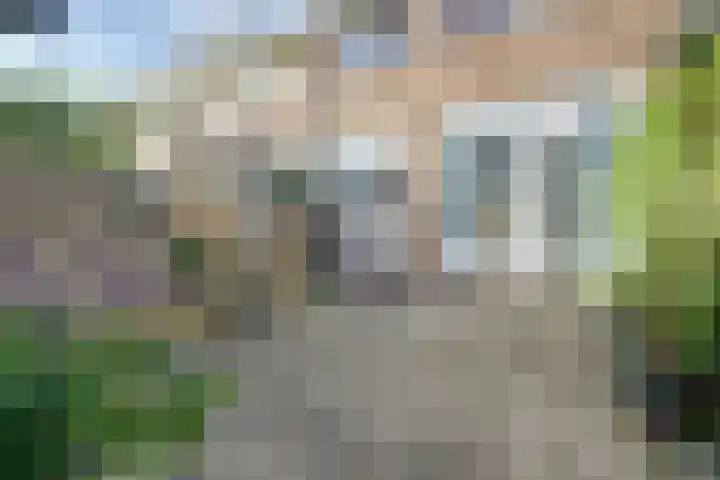 Van Manderstraat 24 Dordrecht thumbnail 31