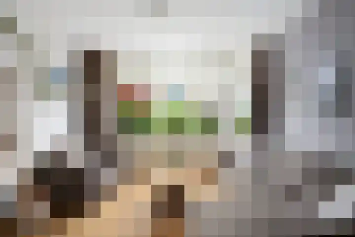 Van Manderstraat 26 Dordrecht thumbnail 8